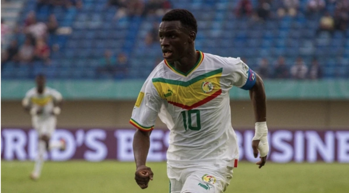 Fenerbahçe ilk transferi, Amara Diouf 