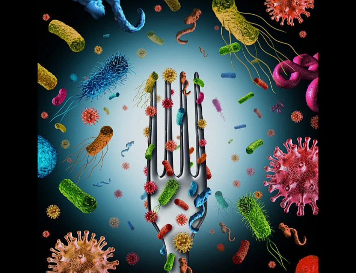 Gıda Zehirlenmesi Havadan mı Sudan mı Artıyor? Denetim boşluğu ve Merdiven Altı Tehlikesi!