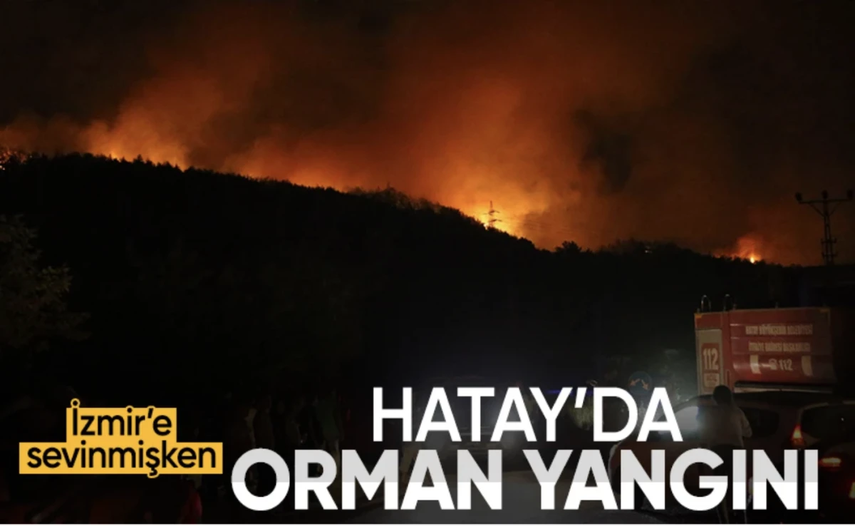 Hatay yangını! Hatay Dörtyol'da orman yangını