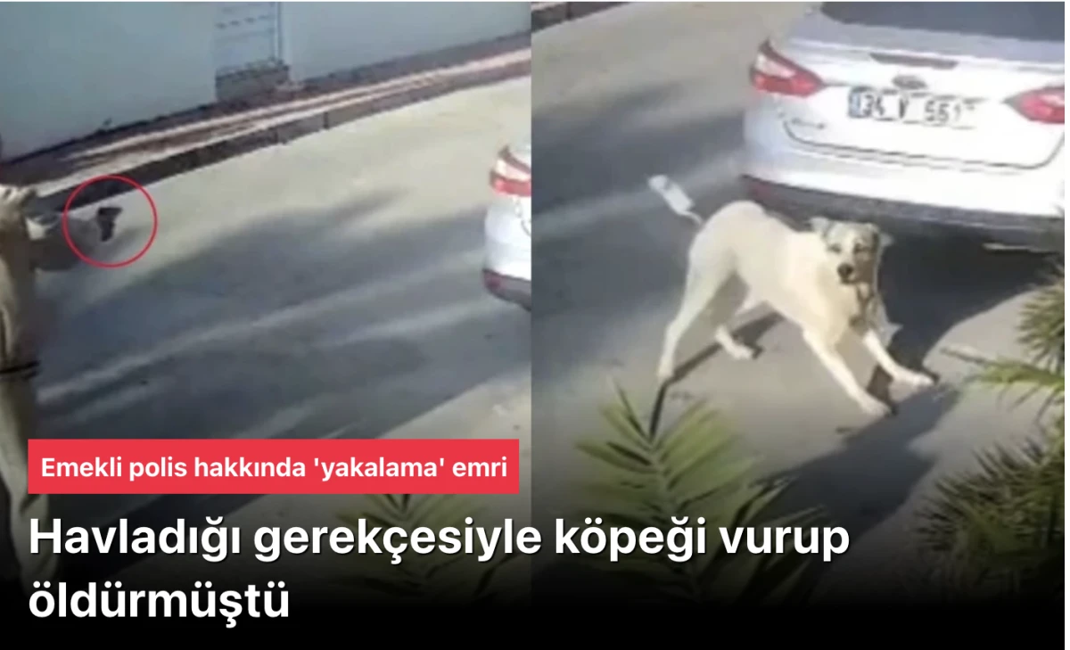 Havladı diye köpeği vurup öldürmüştü! Emekli polis hakkında 'yakalama' emri