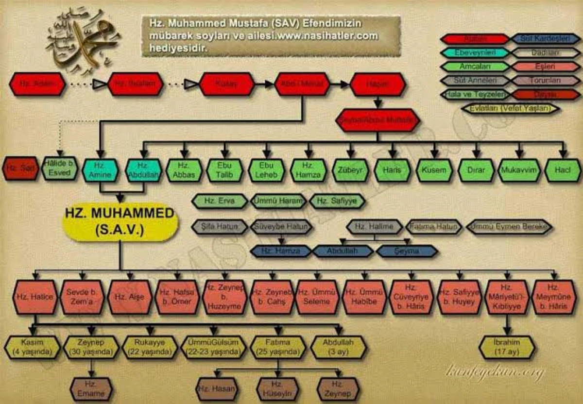 Hazreti Muhammed’in Soyu ve Ailesi: Peygamber Efendimiz’in (SAV) Soy Ağacı