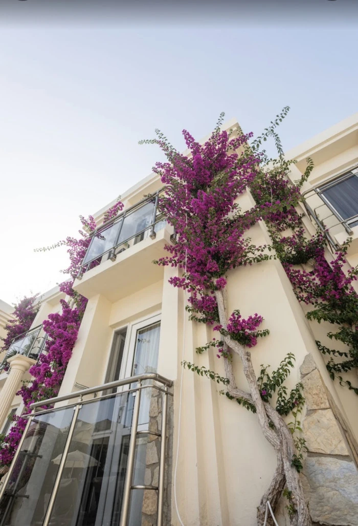 Ömer Aybak Otel Satışında Usulsüzlük ve Vergi Kaçakçılığı İddiası! Bodrum Yahşideki Otelin devrinde ne oldu?