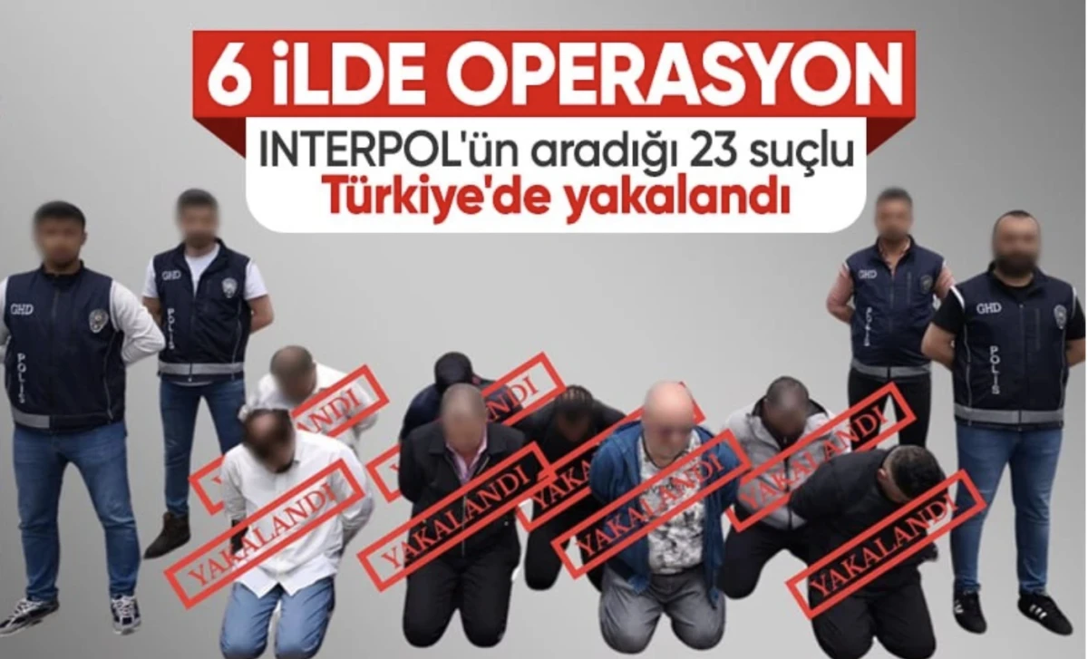 INTERPOL: 23 kişi tutuklandı. 11 ülkenin aradığı suçlular 6 ilden toplandı