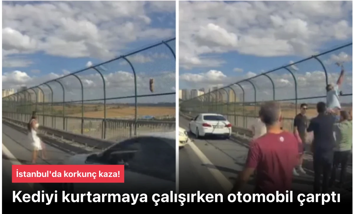 İstanbul Avcılar’da Kediyi Kurtarmak İsterken Trafik Kazası: Şok Görüntüler
