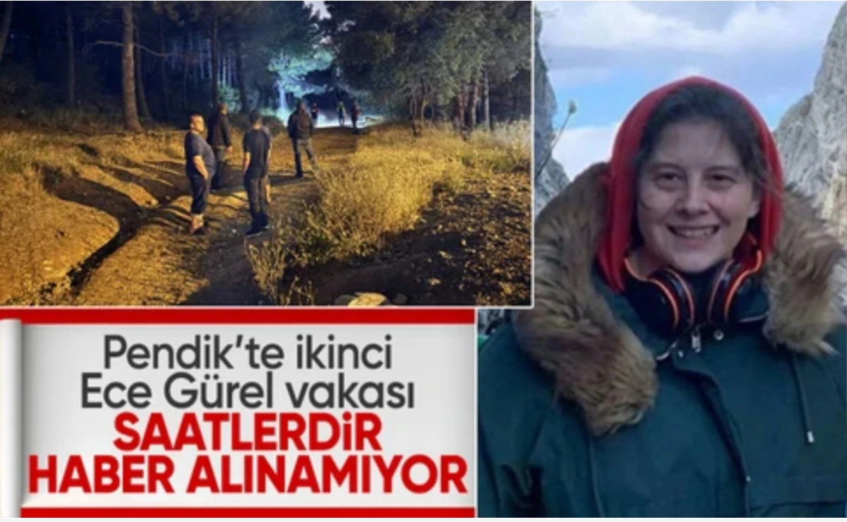 İstanbul Pendik'te ikinci Ece Gürel vakası: Aydos Ormanı’na giren adamdan hala haber yok