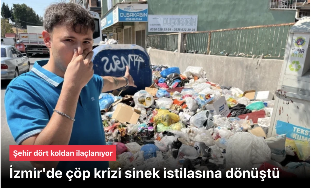 İzmir çöp krizi! Sinek istilasına dönüştü, şehir dört koldan ilaçlanıyor