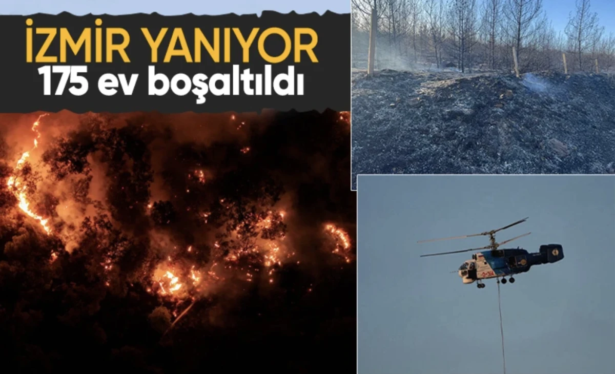 İzmir ormanında yangın | Aliağa ilçesinde başlayarak Foça'ya sıçradı, havadan ve karadan müdahale devam ediyor