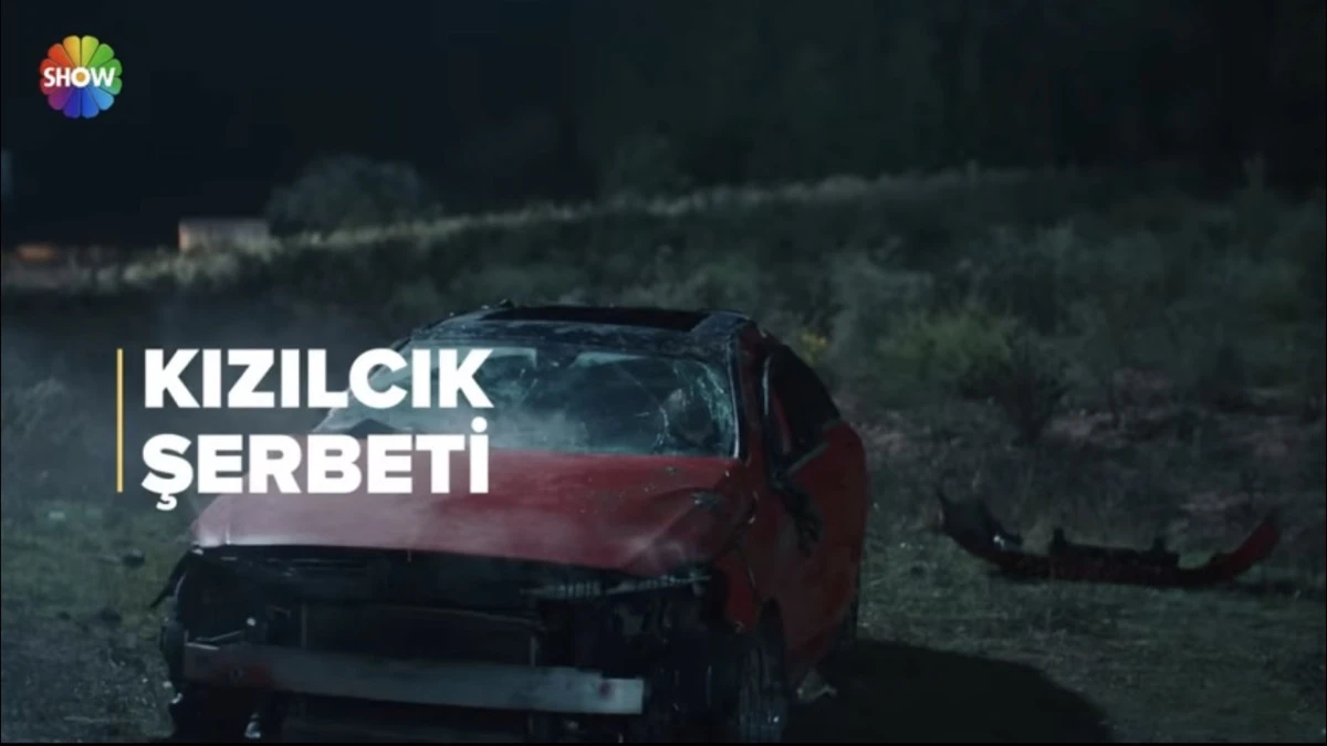 Kızılcık Şerbeti 110. Bölüm 2. Fragmanı: Doğa’nın Kaza Sonrası Şok Uyarısı ve Ömer’in Gözaltı Sürprizi! 