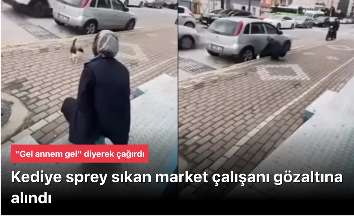 Kocaeli kediye yağ &ccedil;&ouml;z&uuml;c&uuml; sprey sıkan market &ccedil;alışanı g&ouml;zaltına alındı haberiyle uyandı