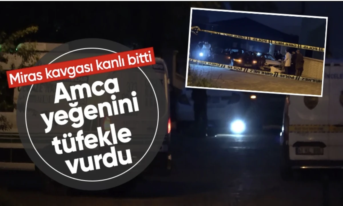 Kocaeli miras kavgası: Amca yeğenini tüfekle vurdu