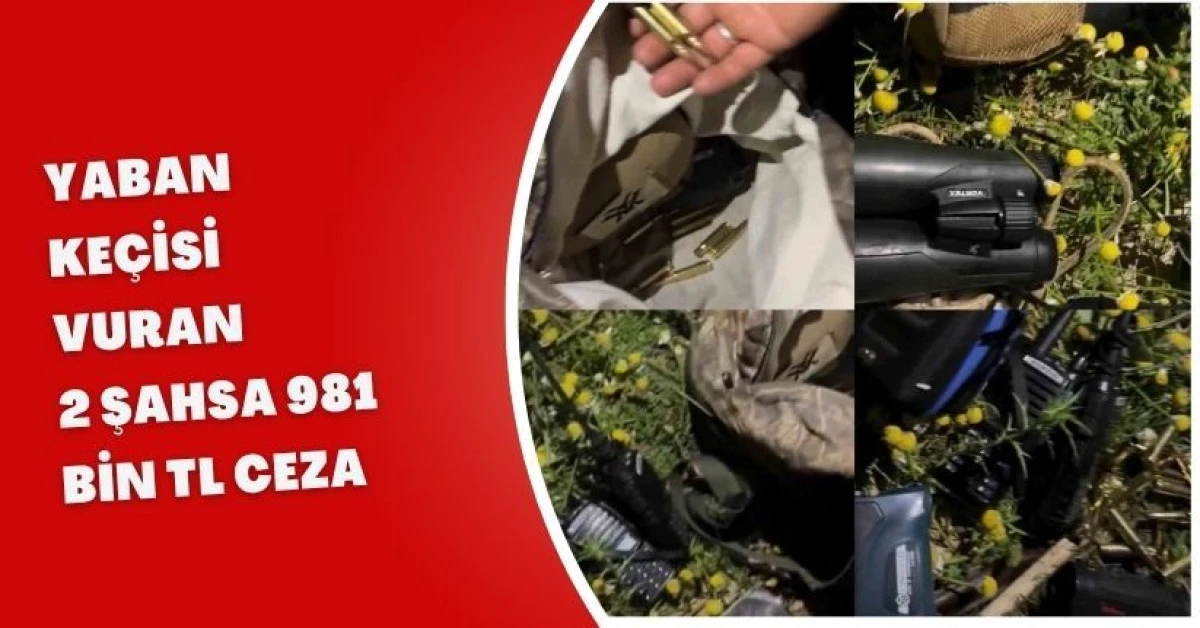 Mersin yaban ke&ccedil;isi avına 981 bin lira ceza olayıyla şokta