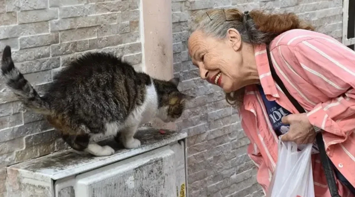 &ldquo;Panter Emel&rdquo; Lakaplı Emel Yıldız Hayatını Kaybetti
