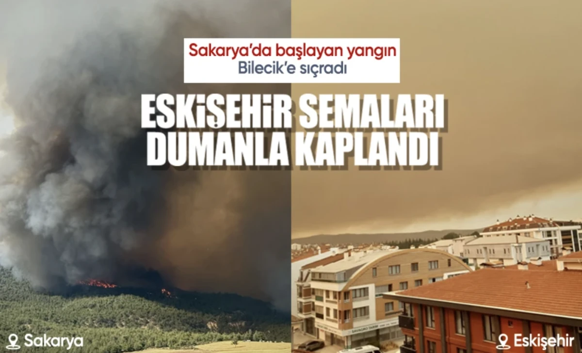 Sakarya ormanlığında çıkan yangın Bilecik'e ulaştı