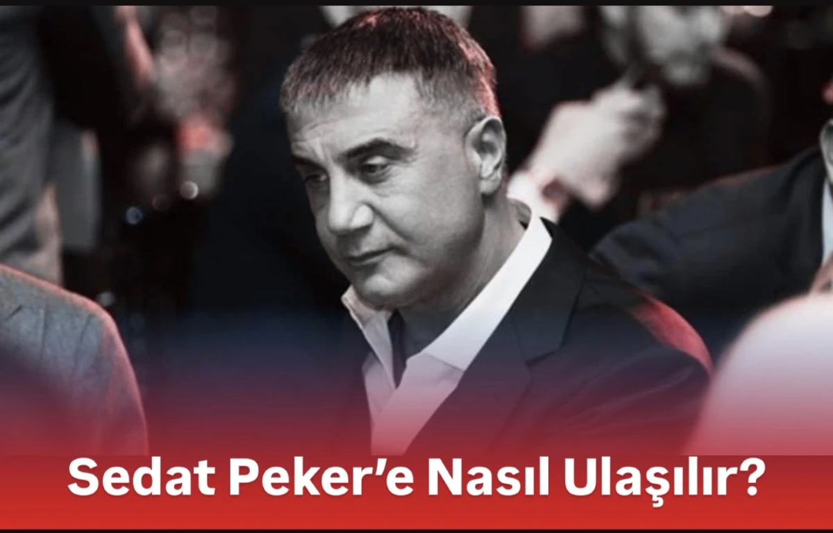 Sedat Peker&rsquo;e Ulaşmak İ&ccedil;in En Aktif Platformlar Hangileri?