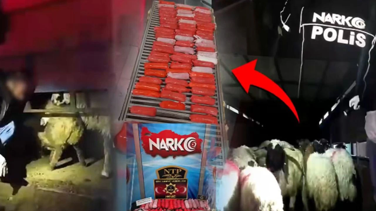 Siirt'te Koyun Karnında Gizlenen 54,6 Kg Uyuşturucu Olayı: İ&ccedil;işleri Bakanı Yerlikaya A&ccedil;ıkladı