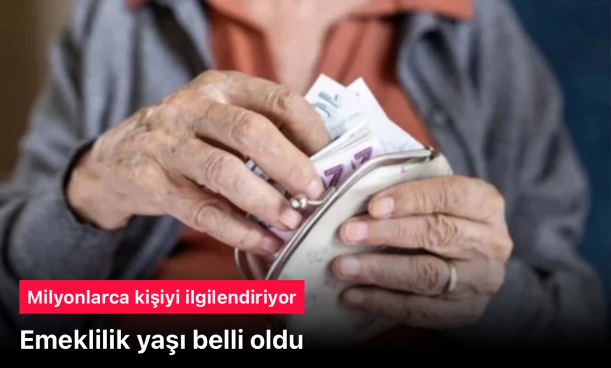 Tamamlayıcı Emeklilik Sistemi'nin ayrıntıları belli oldu