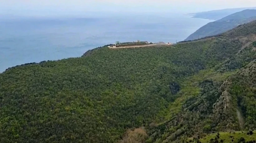 Tekirdağ ile Kırklareli ormanlıklarına giriş yasaklandı