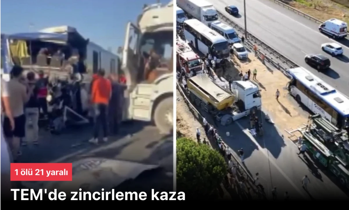 TEM'de kaza! 2 otobüs ve 1 kamyonun karıştığı zincirleme kaza: 1 ölü 21 yaralı