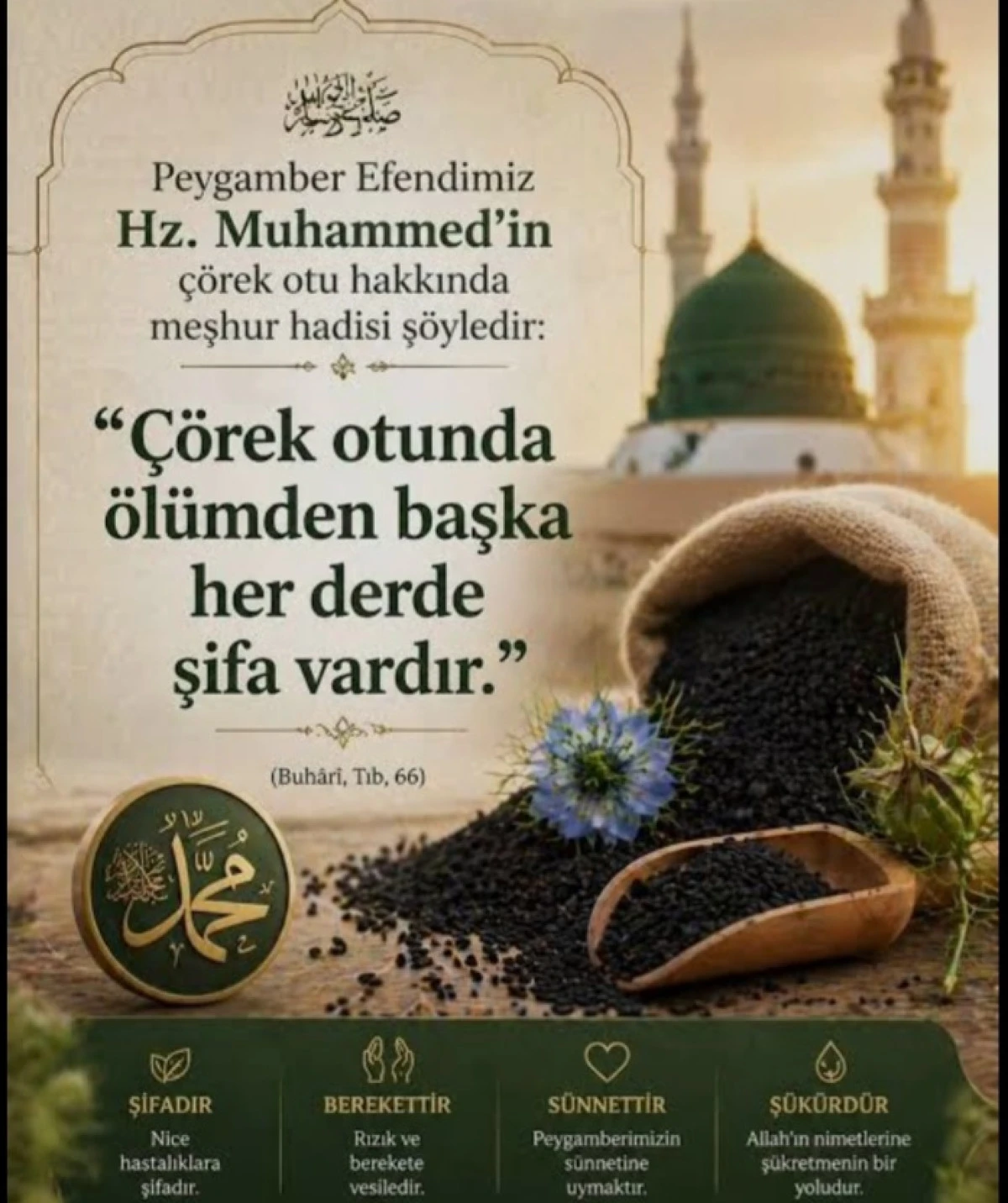 "Toplumsal Sağlığa Faydalı &Uuml;r&uuml;nlerin Dindeki Yeri"
