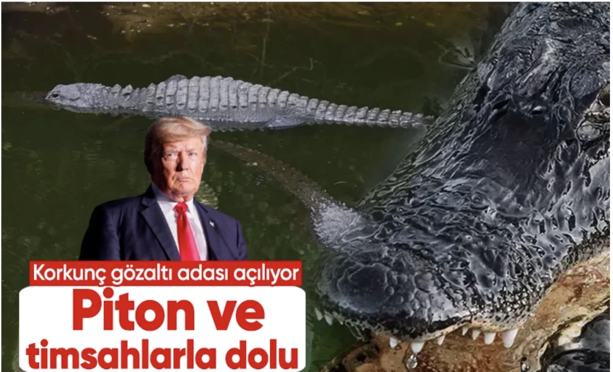 Trump'ın iğrenç gözaltı adası açılıyor! Piton ve timsahlarla dolu