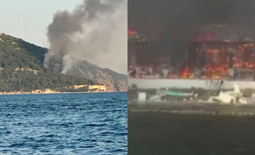 Viranbağ Plajı Yangın paniği: B&uuml;y&uuml;kada'da yangın &ccedil;ıktı