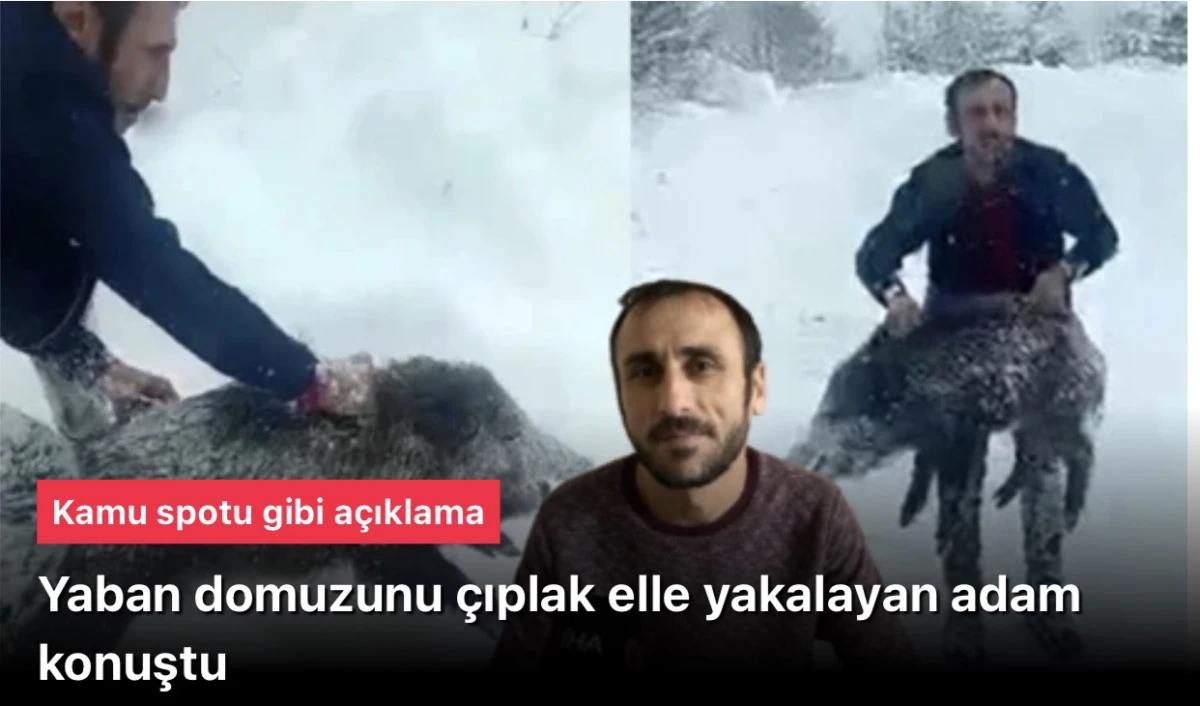 Yaban domuzunu eliyle yakalayan adam konuştu! Kamu spotu gibi a&ccedil;ıklama