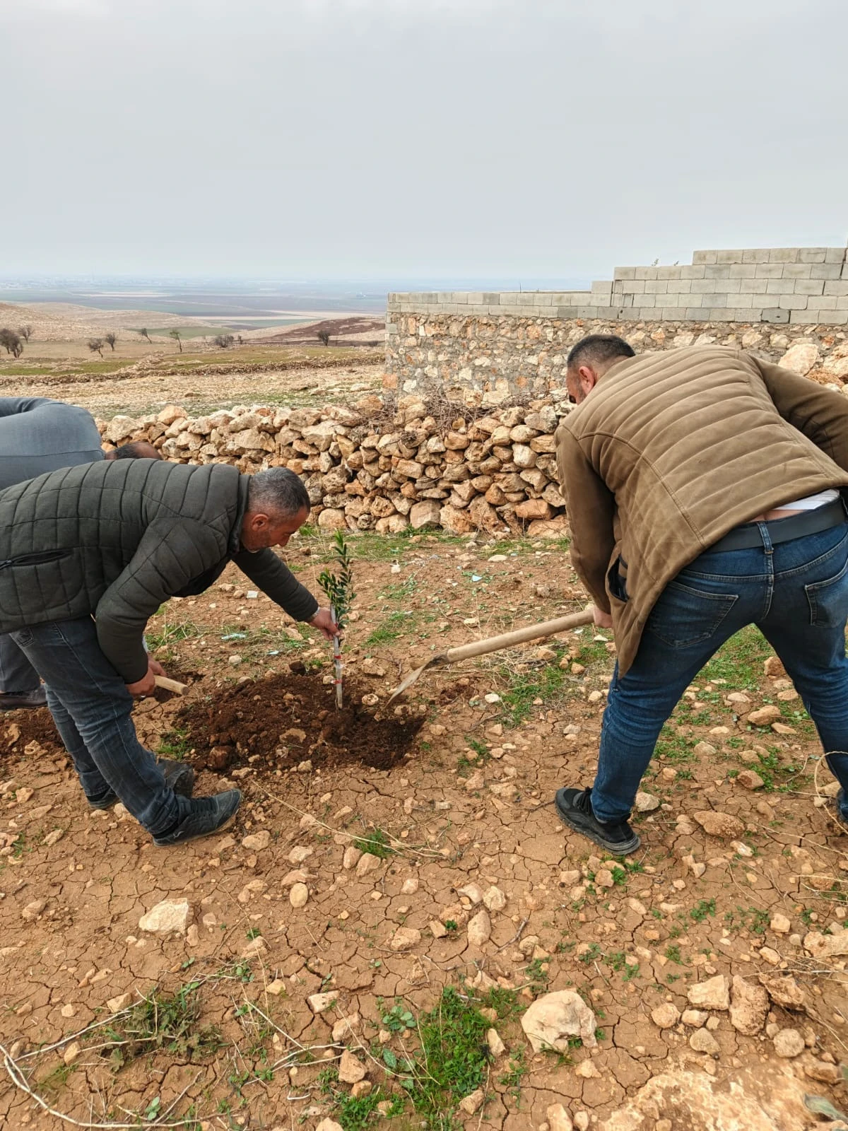 ZEYTİNLİ MAHALLESİ &ldquo;SIFIR ATIK K&Ouml;Y&Uuml;&rdquo; OLMA YOLUNDA İLERLİYOR