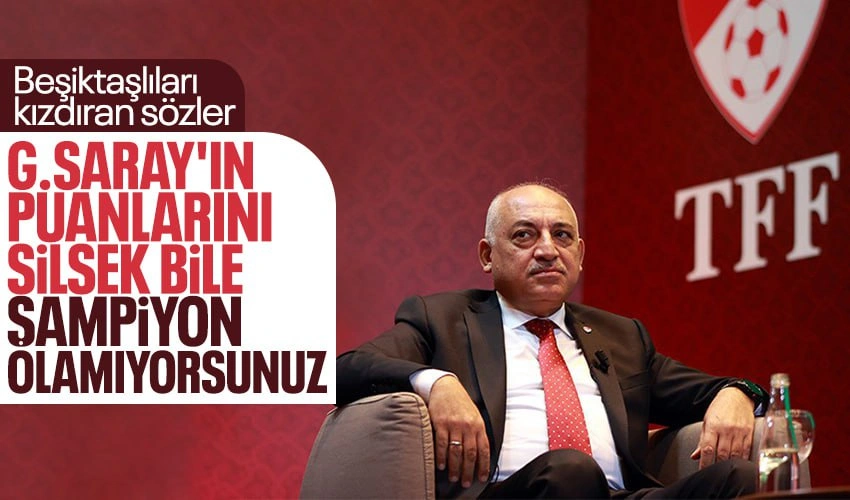 Türkiye Futbol Federasyonu Başkanı