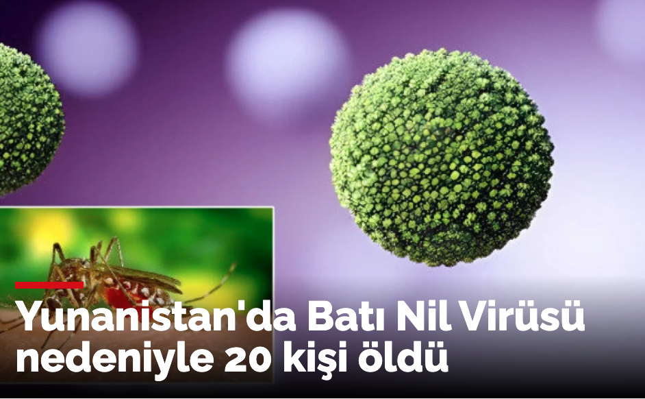 Yunanistan’da Batı Nil Virüsü