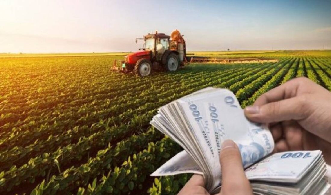 Çiftçilere Şubat ödemesi! O belediye açıkladı: Tohum desteği müjdesi geldi!